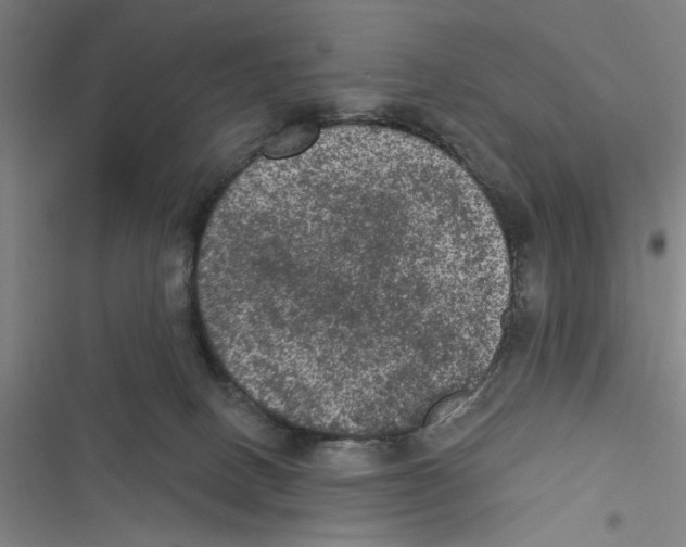 X0000116770082201001141459