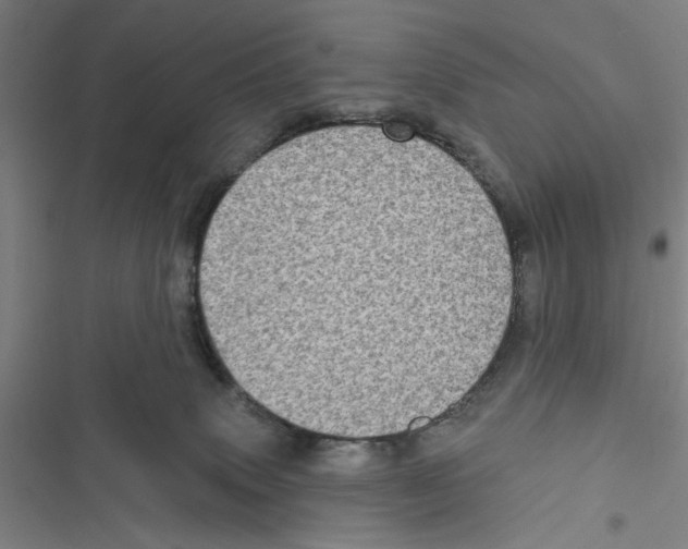 X0000116770083201001141459