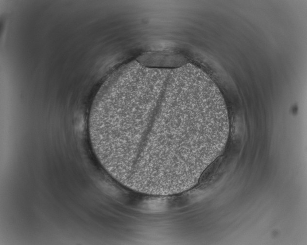 X0000116770084201001141459