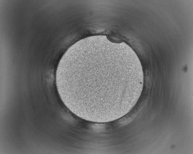 X0000116770085201001141459