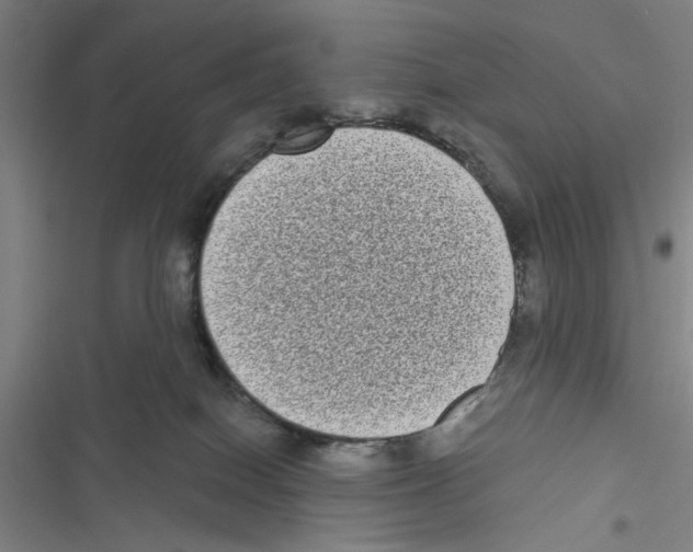 X0000116770086201001141459
