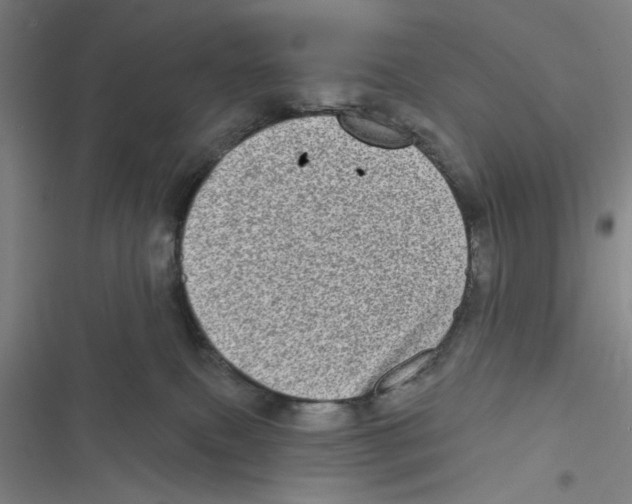 X0000116770087201001141459