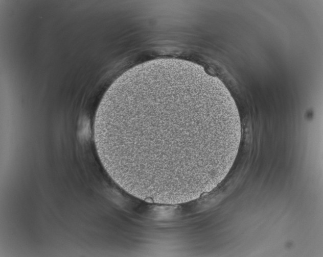 X0000116770089201001141500
