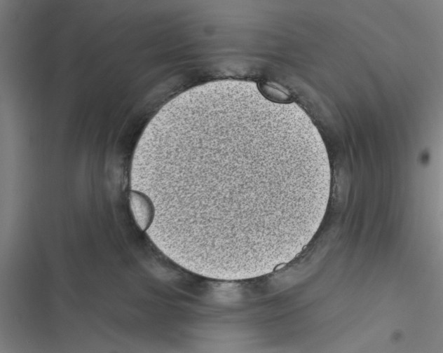 X0000116770091201001141500