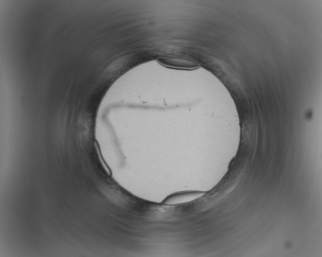 X0000116770092201001141500