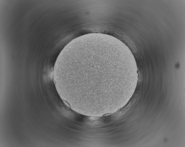 X0000116770095201001141500