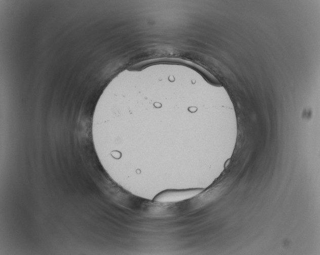 X0000116770096201001141500