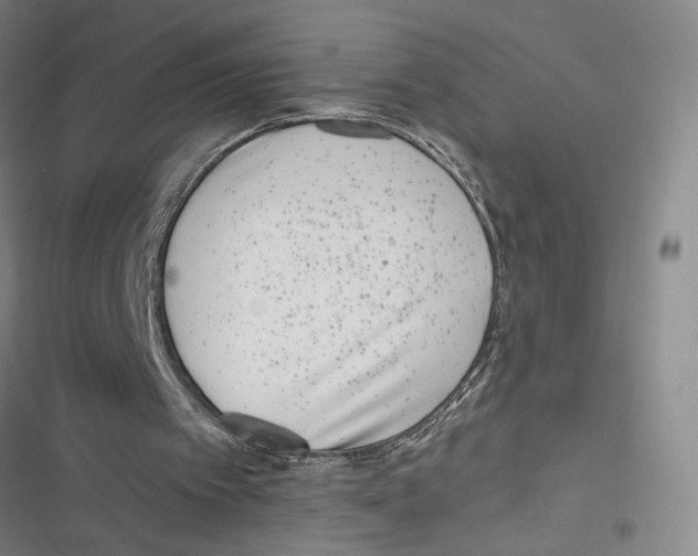 X0000116770097201001141459
