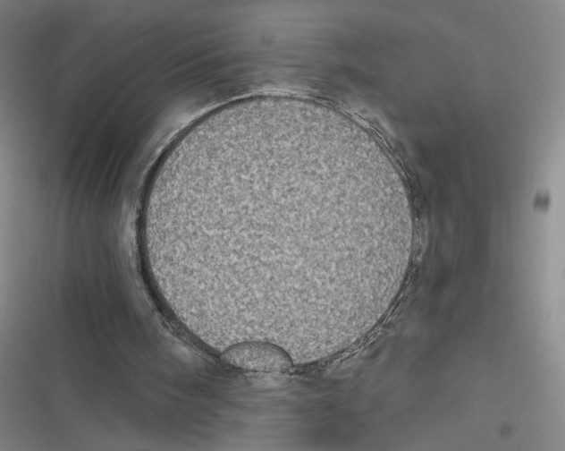 X0000116770098201001141459