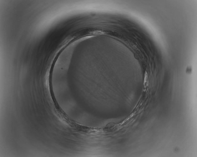 X0000116770099201001141459