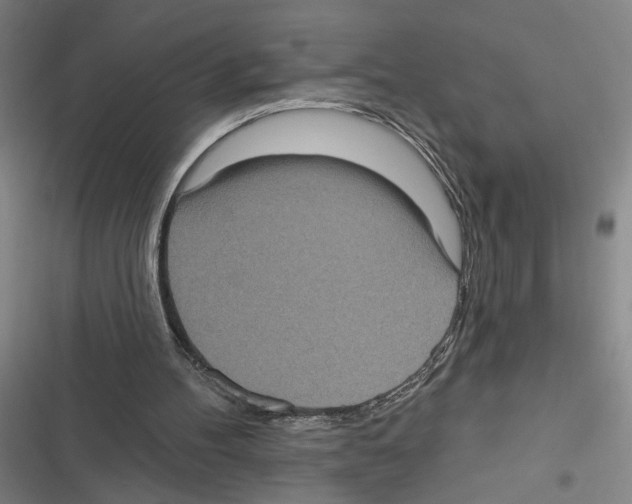 X0000116770100201001141459
