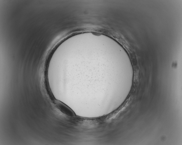 X0000116770101201001141459
