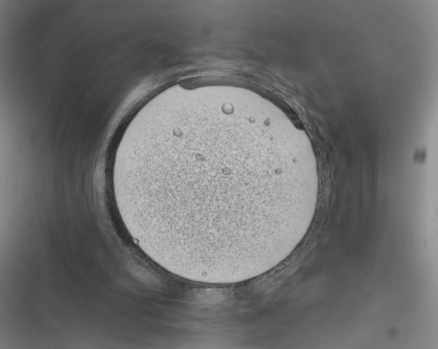X0000116770102201001141459