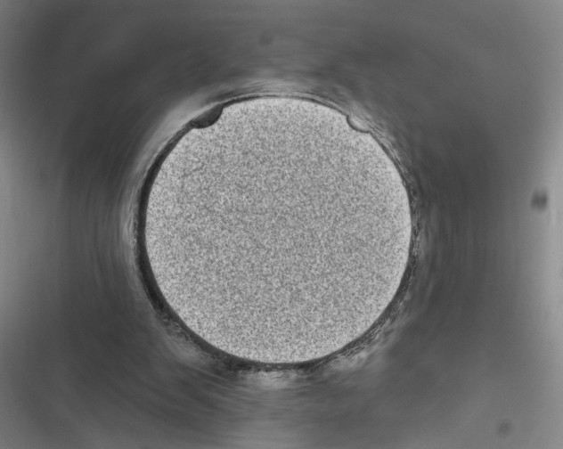 X0000116770103201001141459