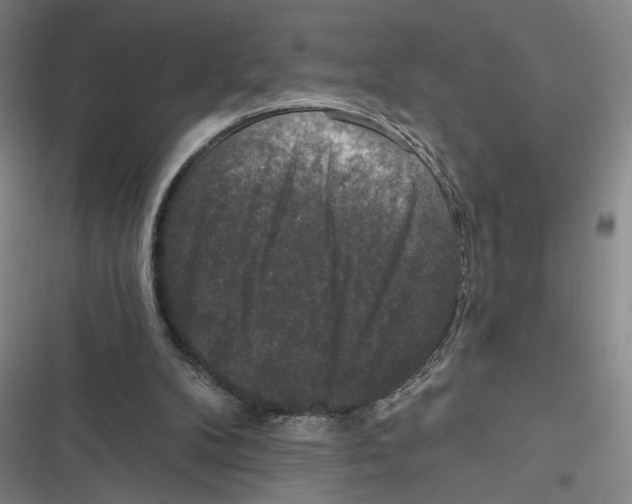 X0000116770104201001141459