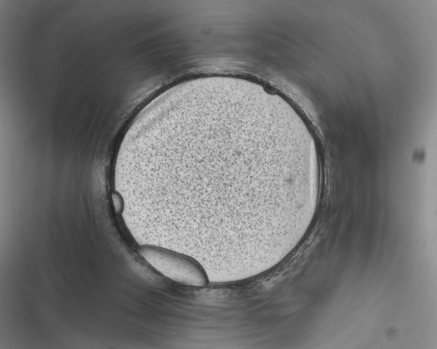 X0000116770105201001141459
