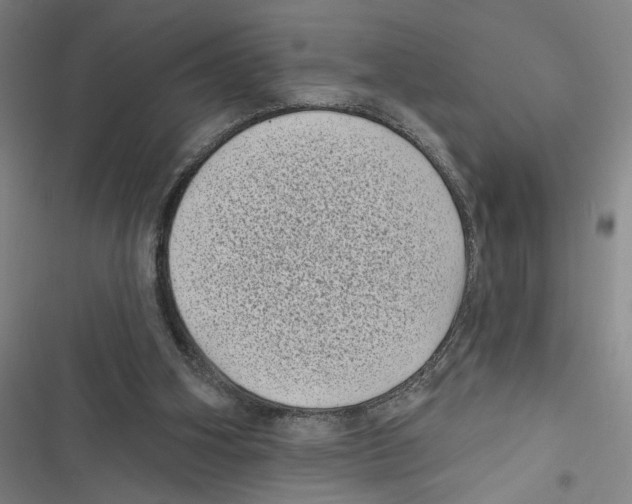 X0000116770106201001141459