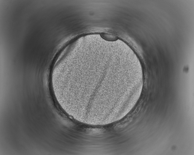 X0000116770107201001141459