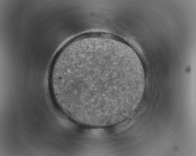 X0000116770108201001141459