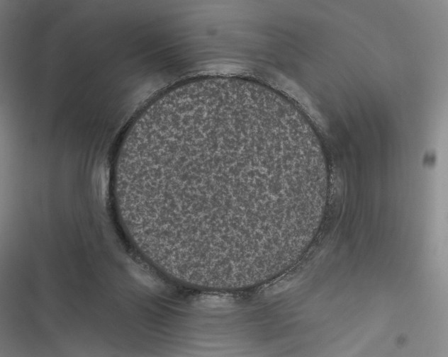 X0000116770110201001141459