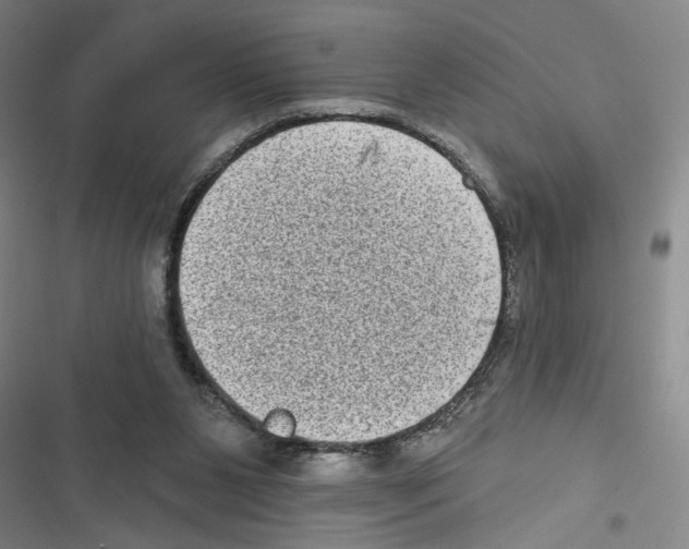 X0000116770111201001141459