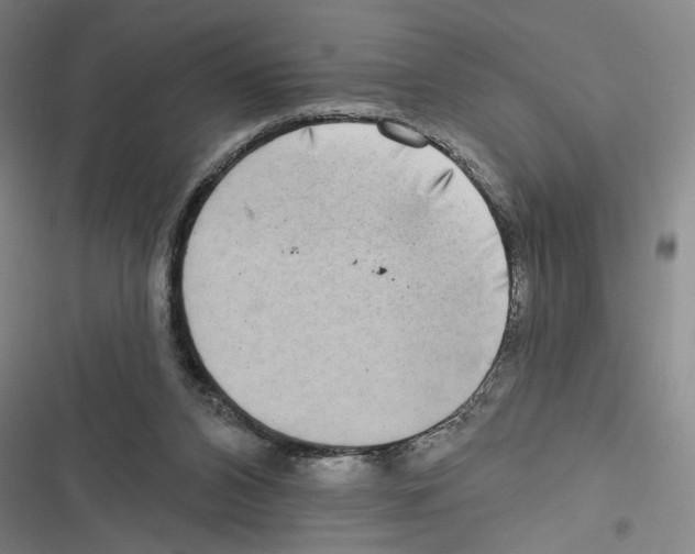 X0000116770112201001141459
