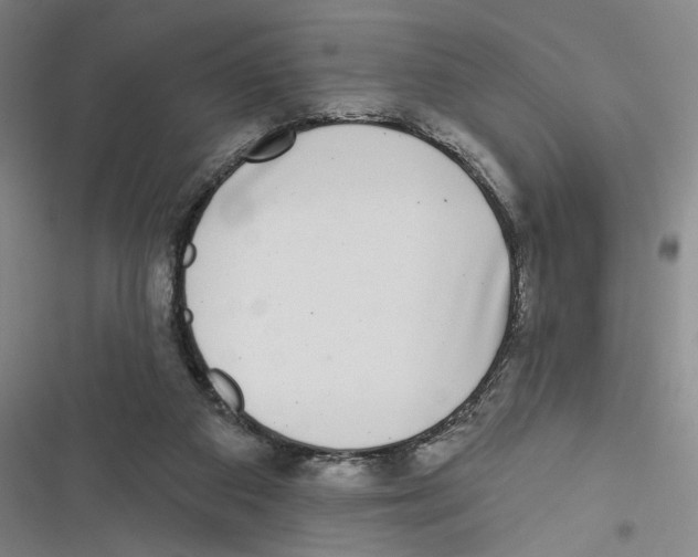 X0000116770113201001141459