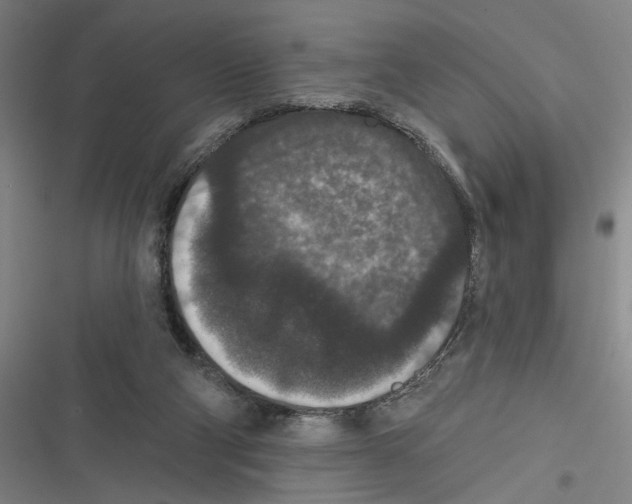 X0000116770114201001141459