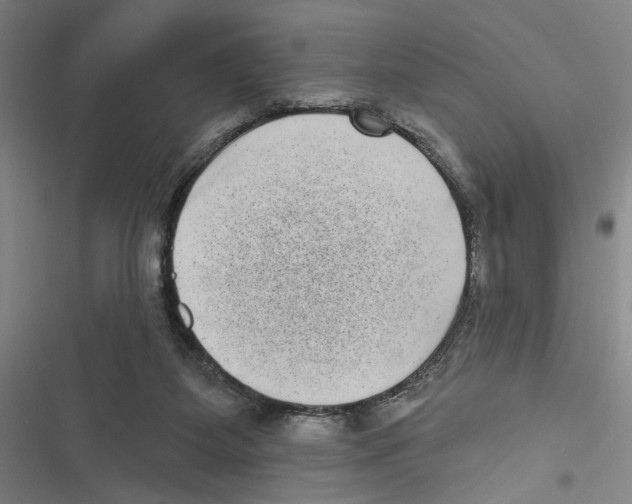X0000116770115201001141459