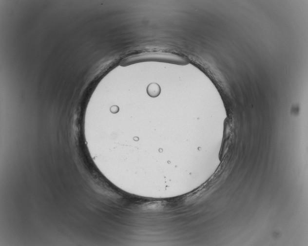 X0000116770116201001141459