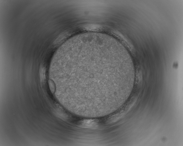 X0000116770117201001141459
