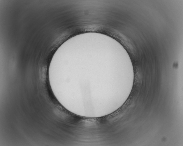 X0000116770118201001141459
