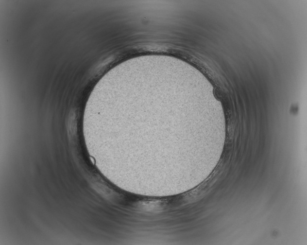 X0000116770120201001141459