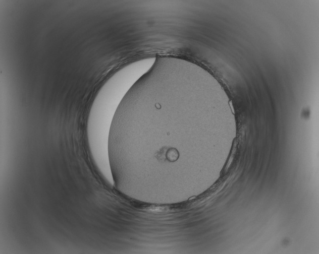 X0000116770121201001141459