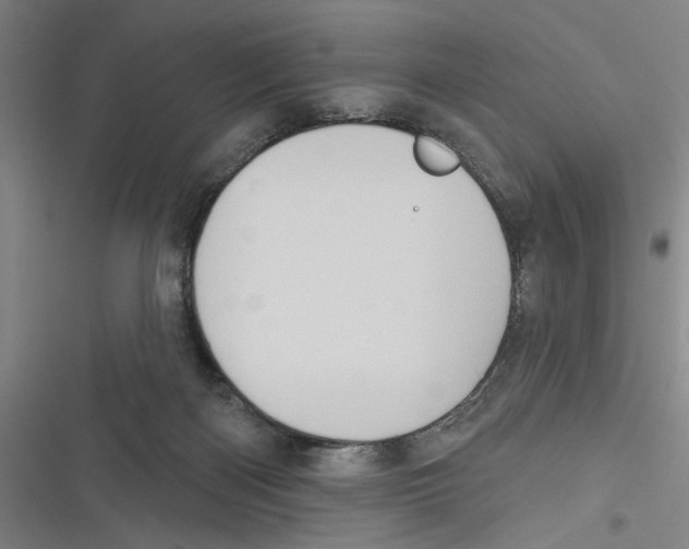 X0000116770122201001141459