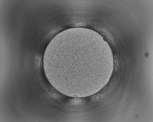X0000116770123201001141459