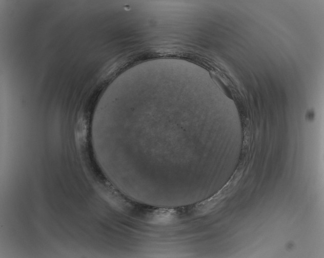 X0000116770124201001141459