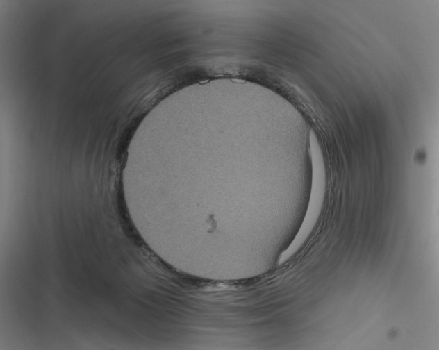 X0000116770125201001141459