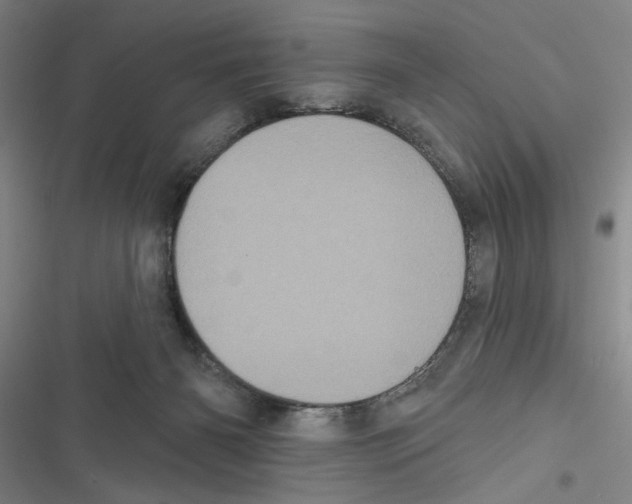 X0000116770126201001141459