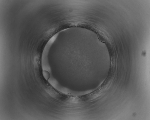 X0000116770127201001141459