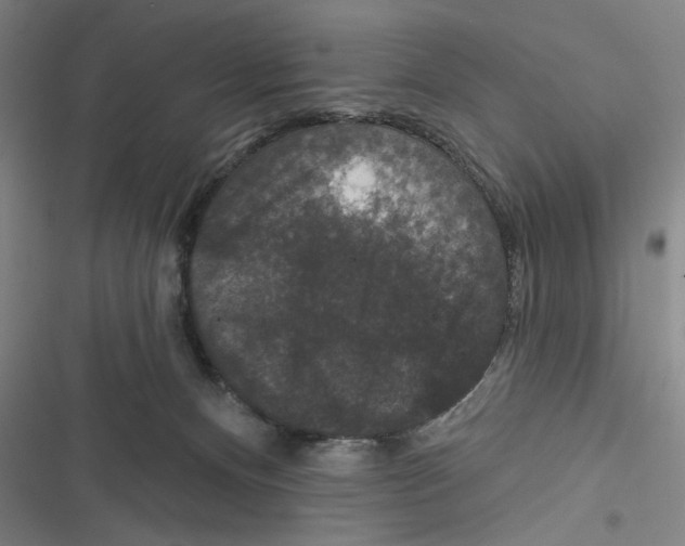 X0000116770128201001141459