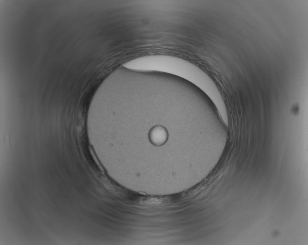 X0000116770129201001141459