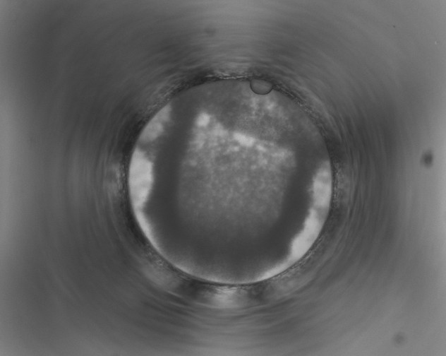 X0000116770130201001141458