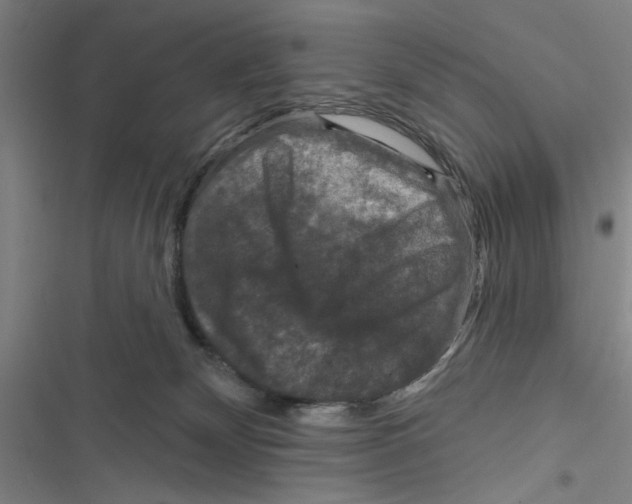 X0000116770132201001141458