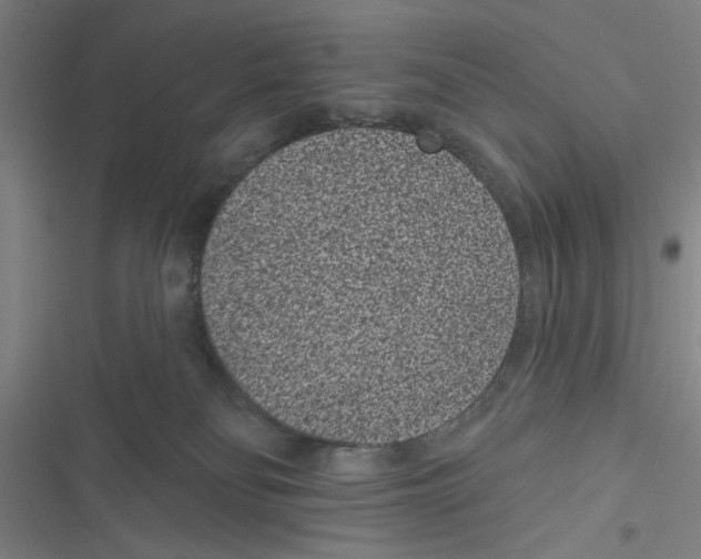 X0000116770134201001141458
