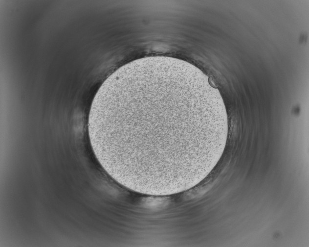 X0000116770135201001141458