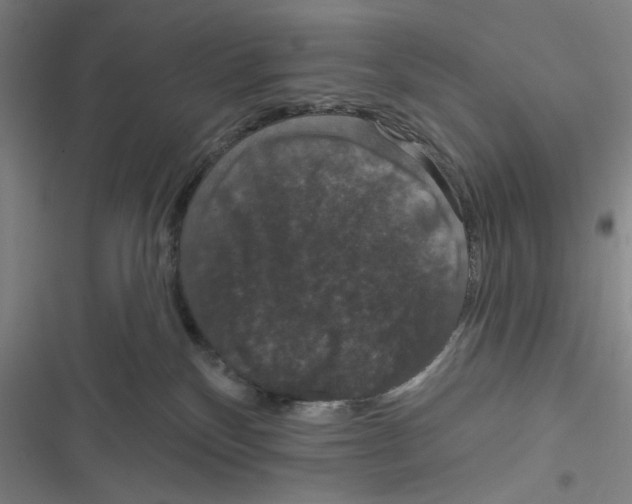 X0000116770136201001141458