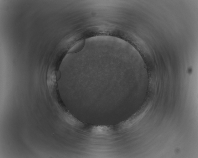 X0000116770137201001141458