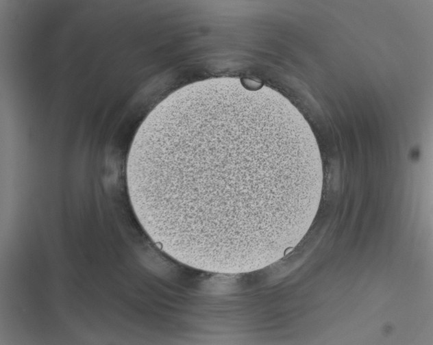 X0000116770138201001141458