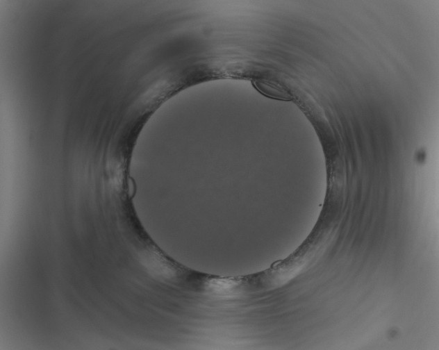 X0000116770139201001141458